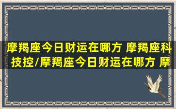 摩羯座今日财运在哪方 摩羯座科技控/摩羯座今日财运在哪方 摩羯座科技控-我的网站